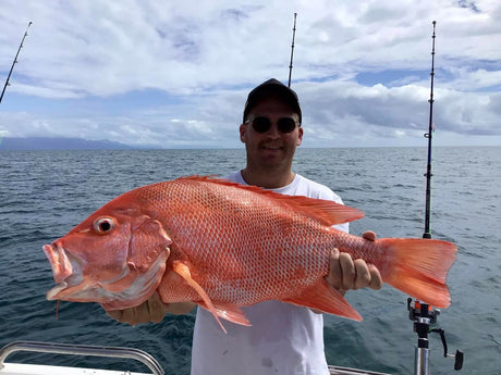 Large mouth nannygai were the target species on the deep rubble during the neap tides for those fishing with Dragon Lady Charters.