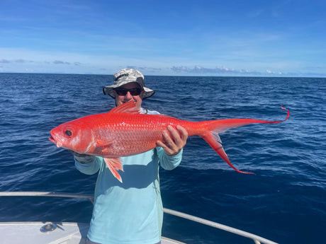 Cairns Fishing Report –  April 11th, 2025.