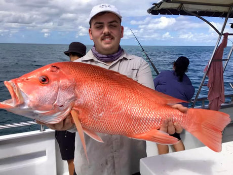 targeting large mouth nannygai bottom dropping the deeper wonky holes aboard dragon lady charters out of port douglas