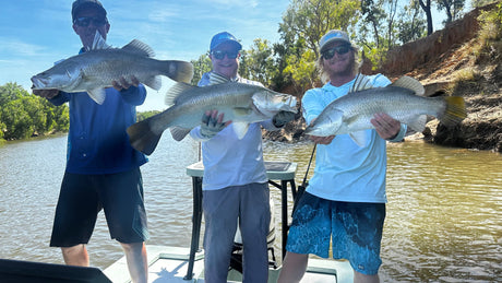 Cairns Fishing Report 24th July