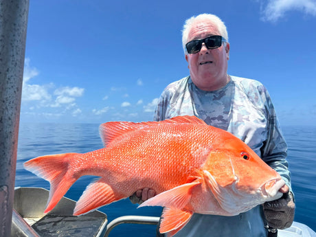 Cairns Fishing Report | 28th November