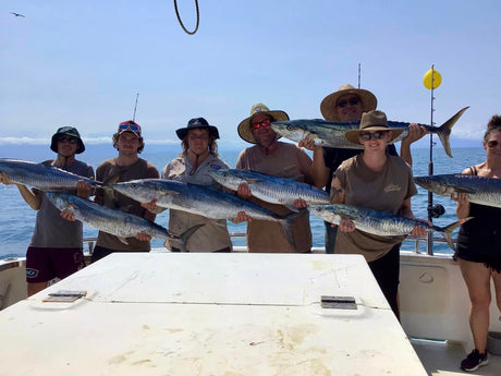 Cairns Fishing Report - 14th November
