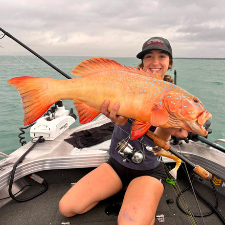 Cairns Fishing Report 7th August, 2026