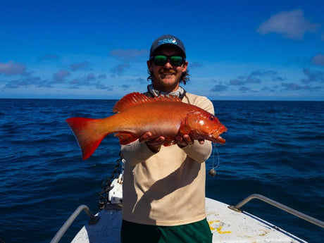 Cairns Fishing Report | May 29th