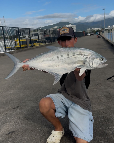 Cairns Fishing Report | July 10th