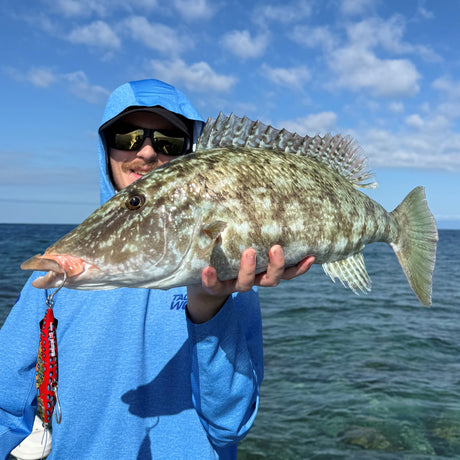 Cairns Fishing Report | 5th June