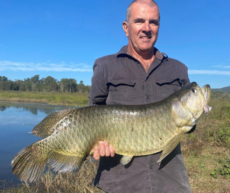 Cairns Fishing Report May 22