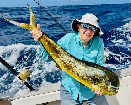 Cairns Fishing Report - 12th December