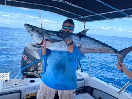 Cairns Fishing Report | 20th February