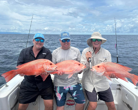 Cairns Fishing Report | 30th January