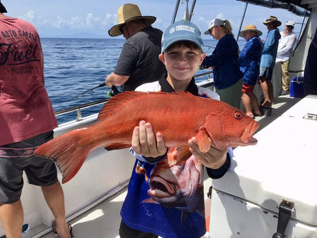 Cairns Fishing Report | 23rd January